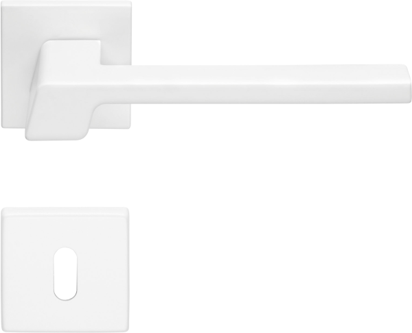 Q20W Türklinke weiß